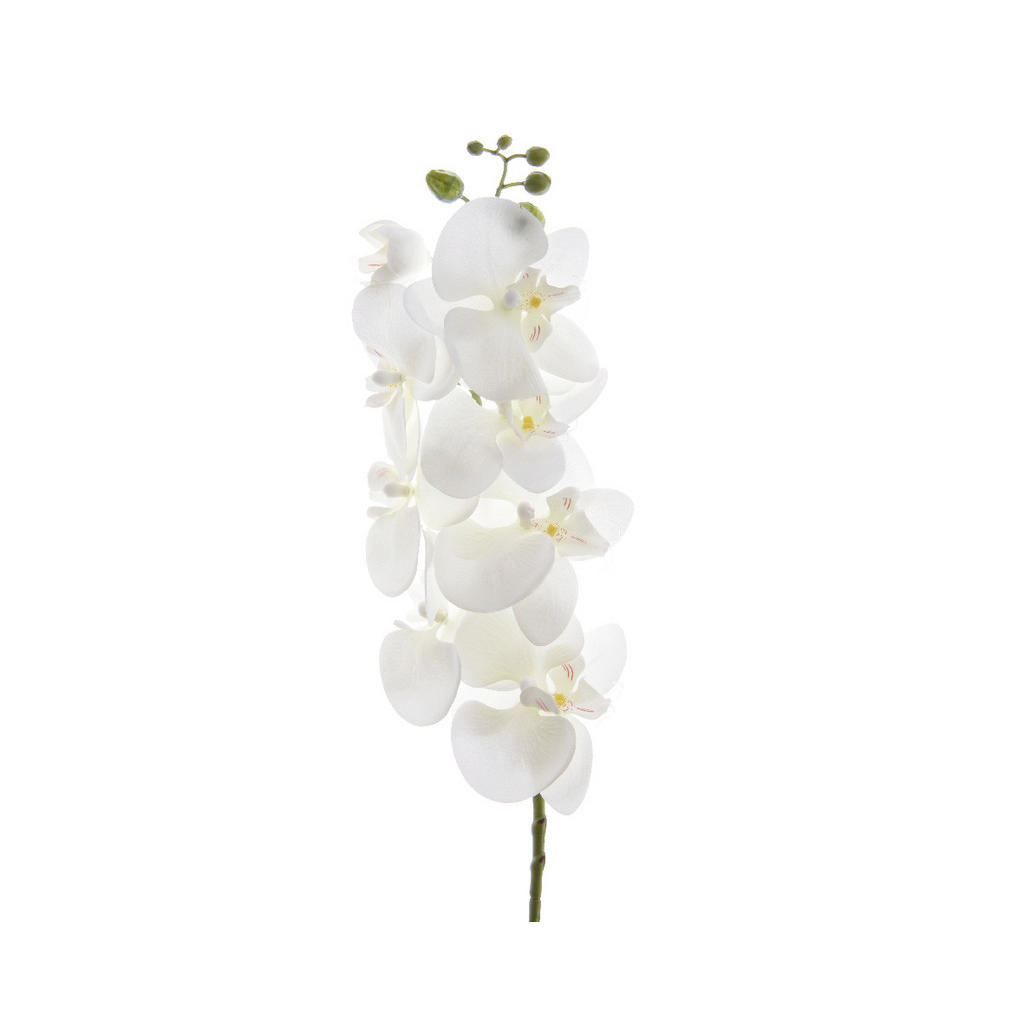 ORCHIDEA 77 cm