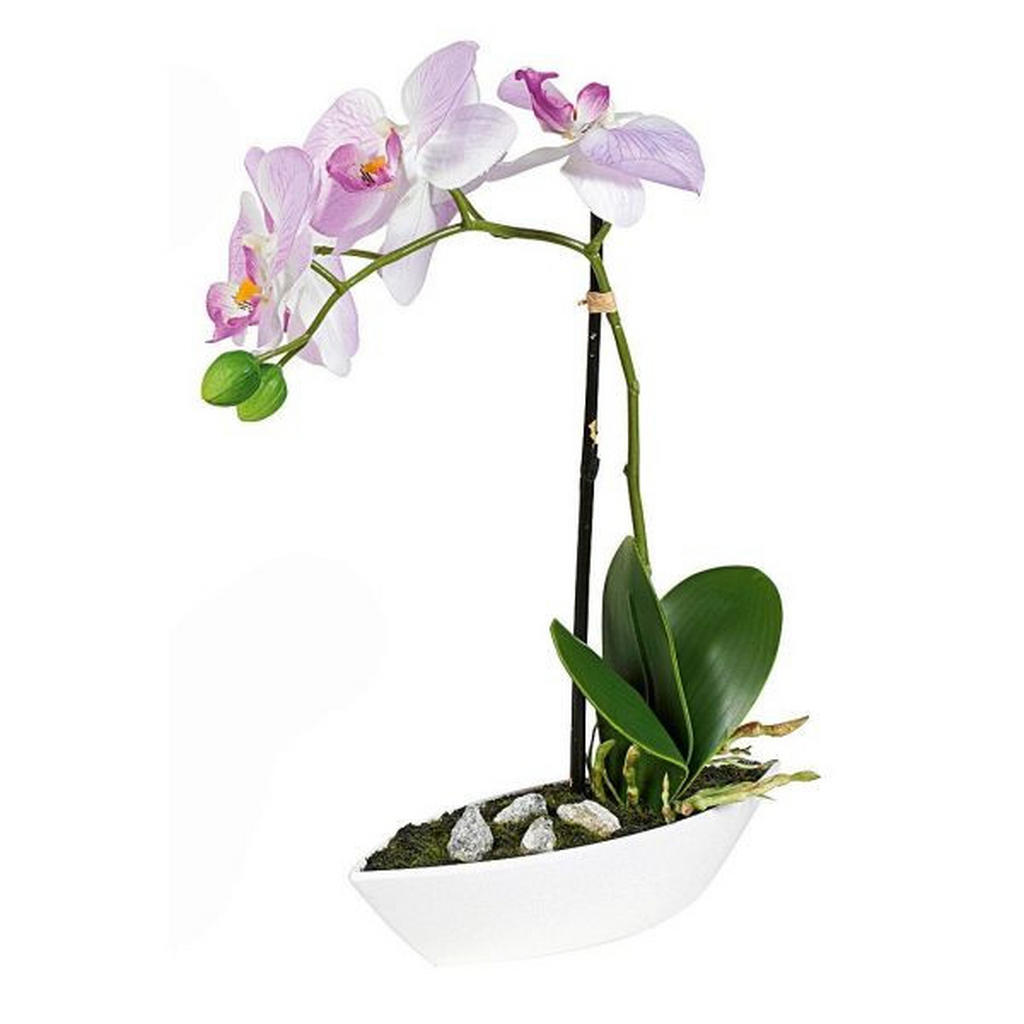 ORCHIDEA orchidea 28 cm