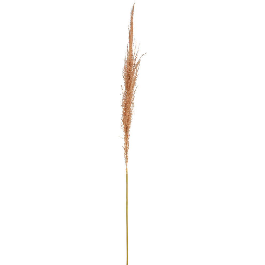 DEKORAČNÁ VETVIČKA pampová tráva 120 cm