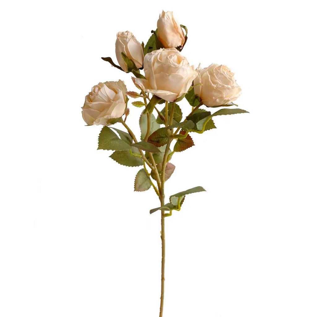 RUŽA 43 cm